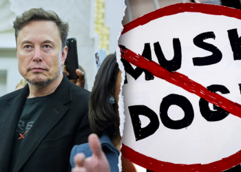 Unfinished Business: The budget cuts Musk couldn’t complete and what’s next for DOGE