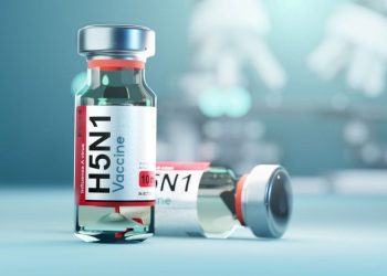 Bird Flu Vaccine Stocks: 8 Companies Developing H5N1 Vaccines