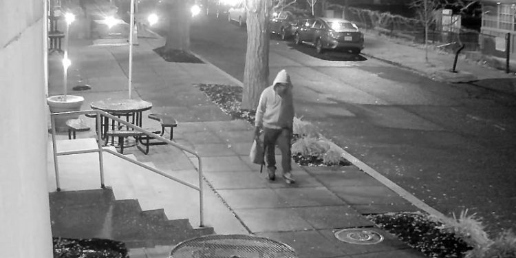 Who is Brian Cole Jr, the DC pipe bomb suspect?