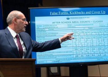 One chart lays bare the sprawling fraud network Minnesota officials missed